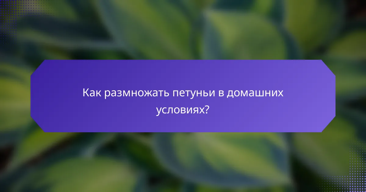 Как размножать петуньи в домашних условиях?
