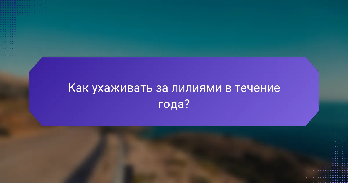 Как ухаживать за лилиями в течение года?