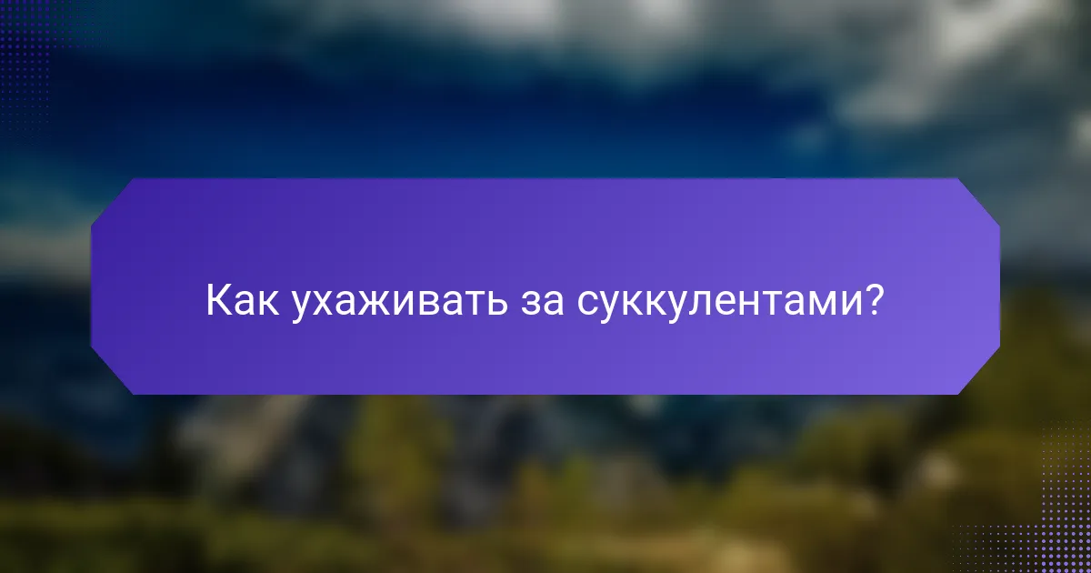 Как ухаживать за суккулентами?