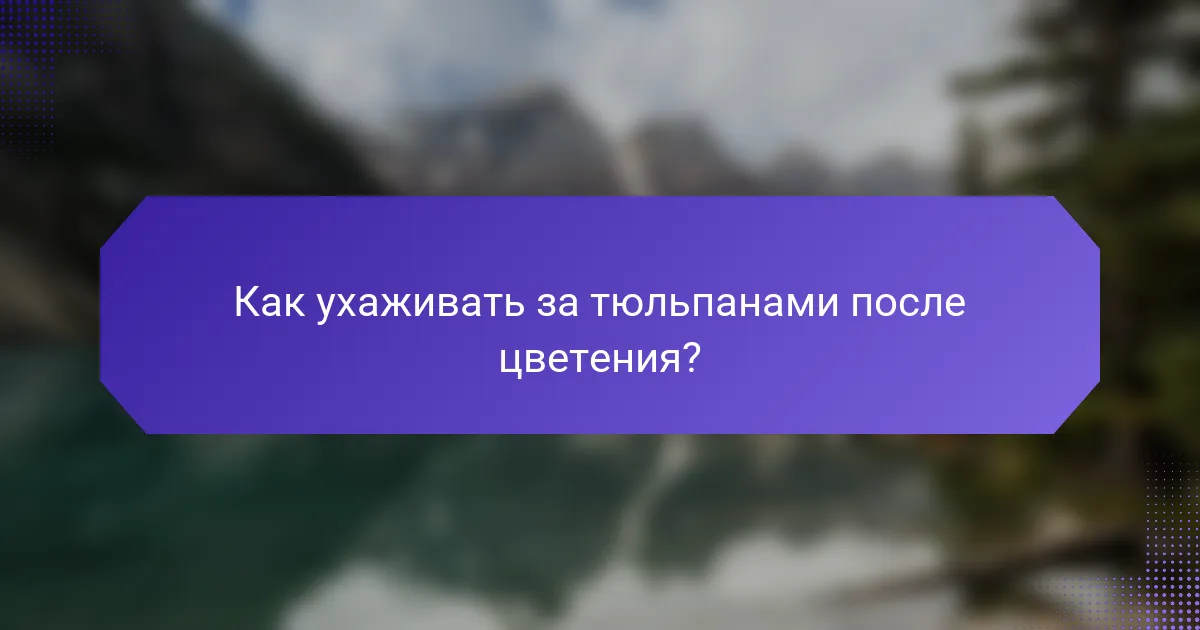 Как ухаживать за тюльпанами после цветения?