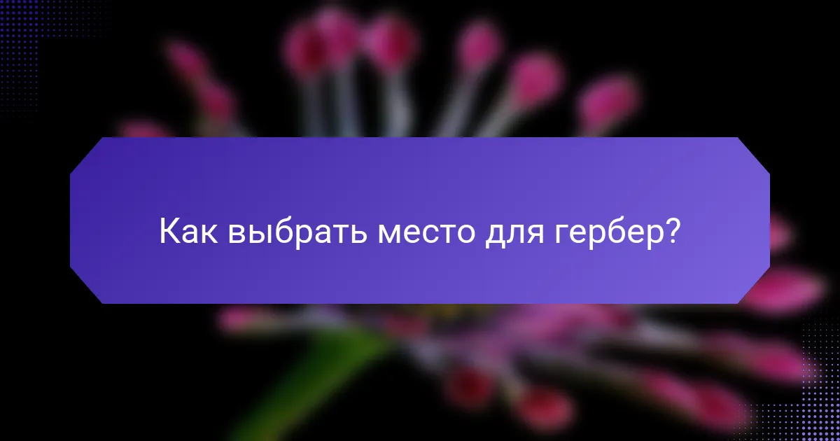 Как выбрать место для гербер?