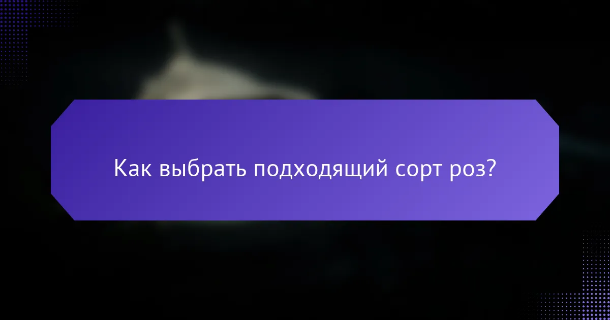 Как выбрать подходящий сорт роз?