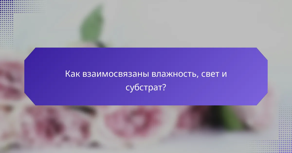 Как взаимосвязаны влажность, свет и субстрат?