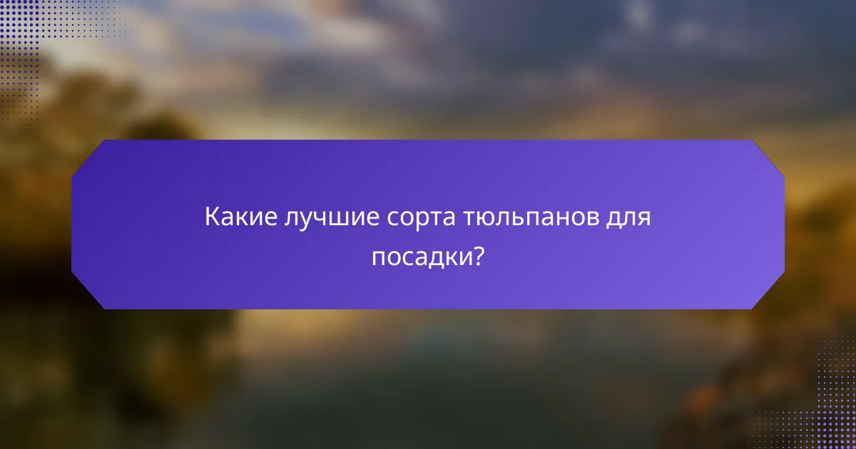 Какие лучшие сорта тюльпанов для посадки?