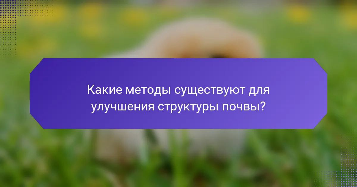 Какие методы существуют для улучшения структуры почвы?
