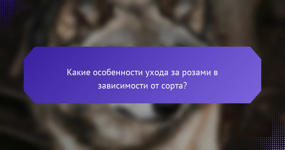 Какие особенности ухода за розами в зависимости от сорта?