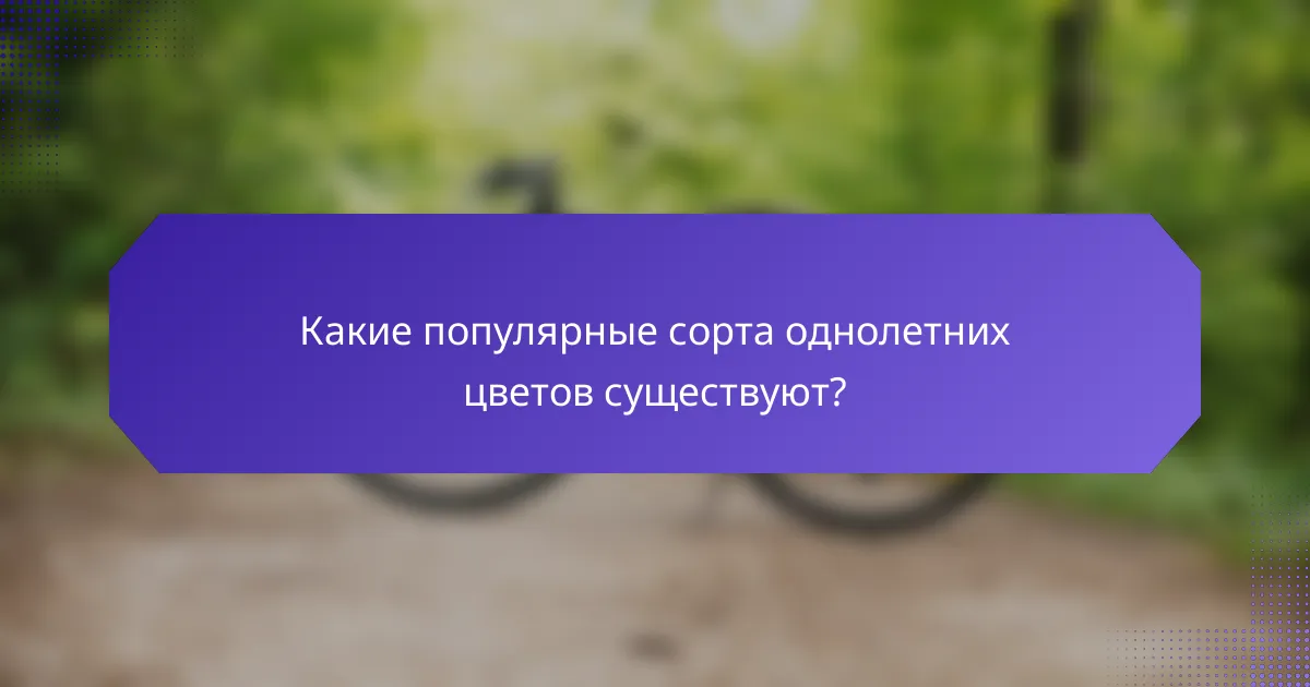 Какие популярные сорта однолетних цветов существуют?