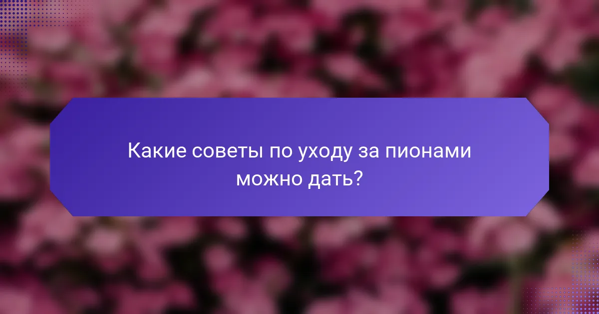 Какие советы по уходу за пионами можно дать?