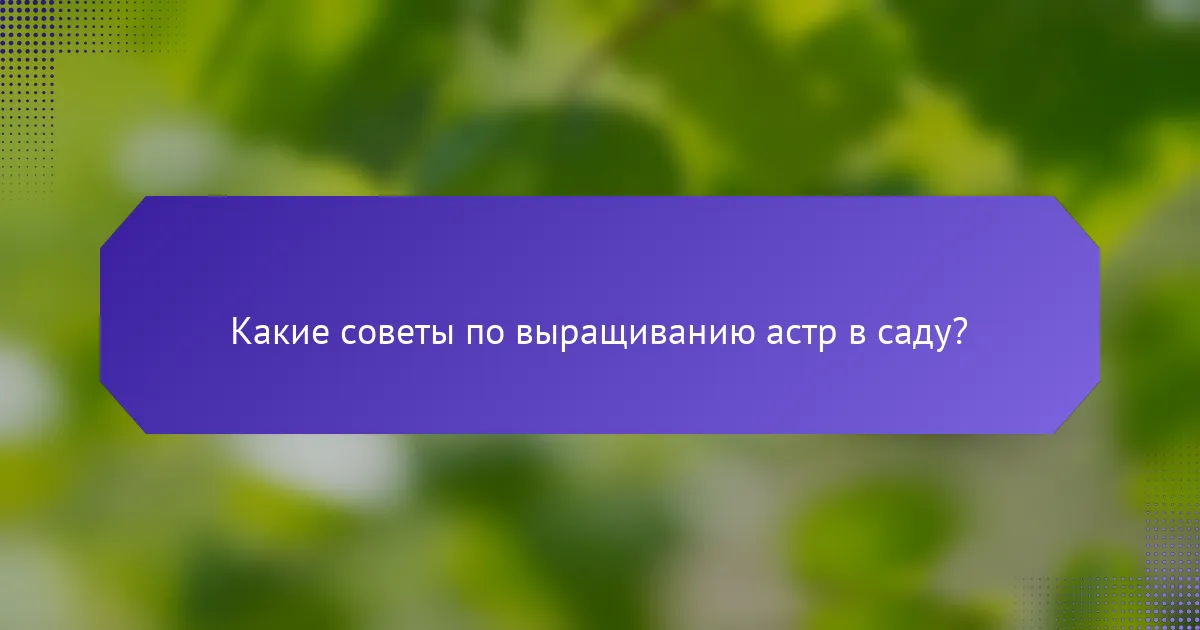 Какие советы по выращиванию астр в саду?