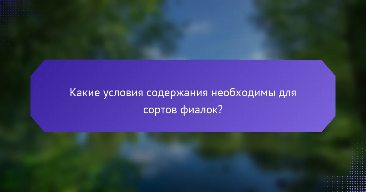 Какие условия содержания необходимы для сортов фиалок?