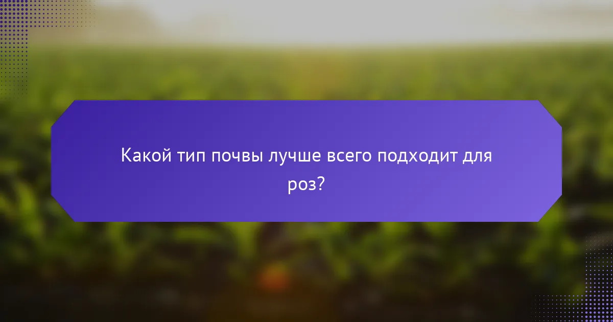 Какой тип почвы лучше всего подходит для роз?