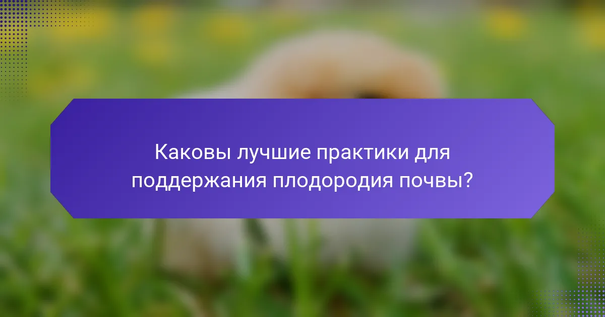 Каковы лучшие практики для поддержания плодородия почвы?
