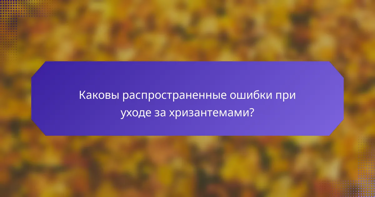 Каковы распространенные ошибки при уходе за хризантемами?