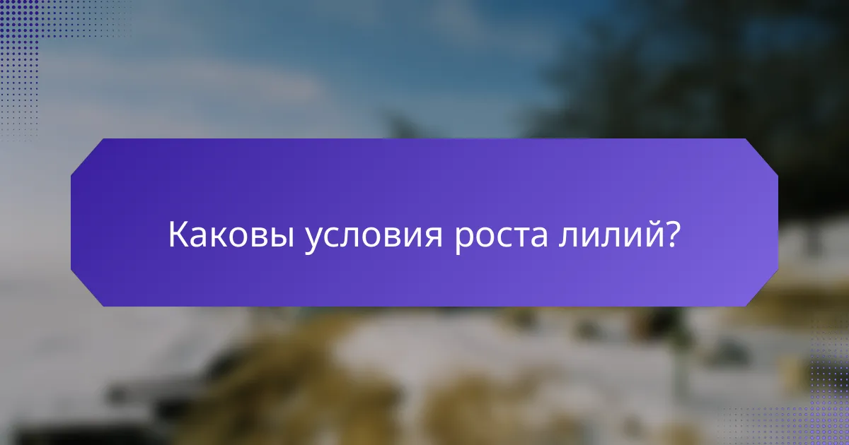 Каковы условия роста лилий?